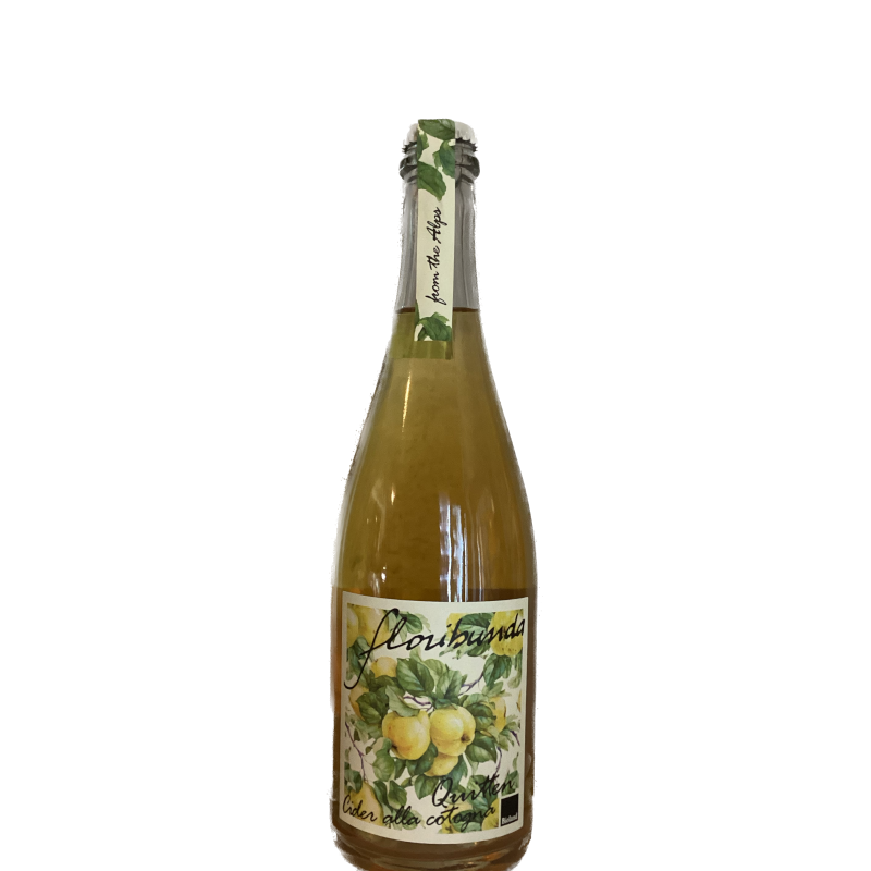 Mela Cotogna Cider