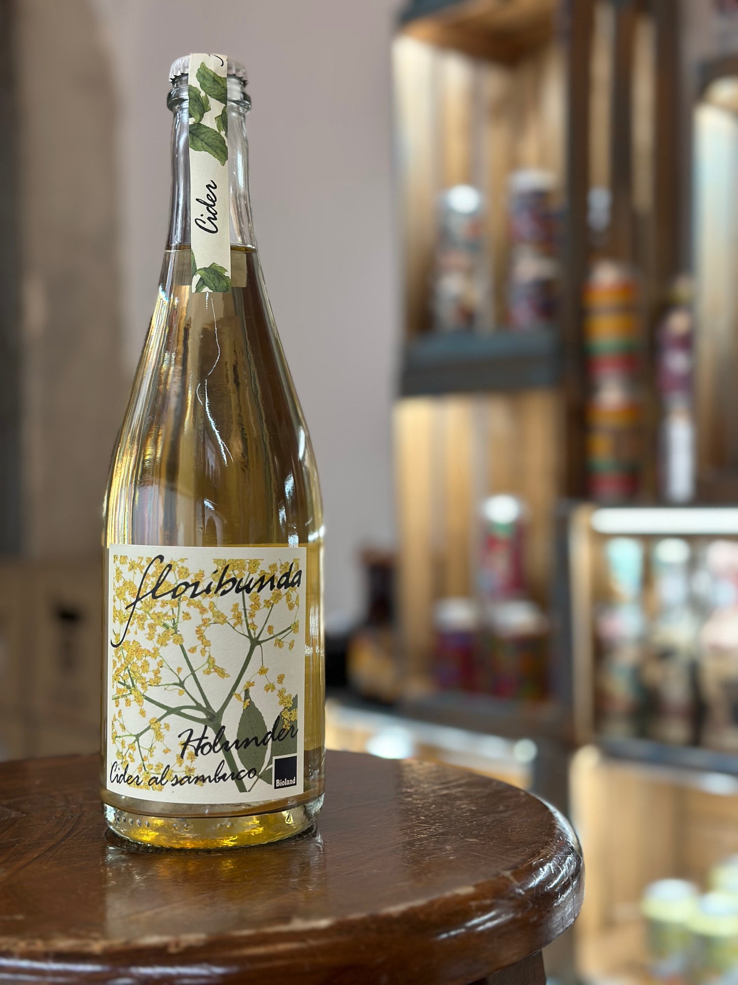 Sambuco Cider